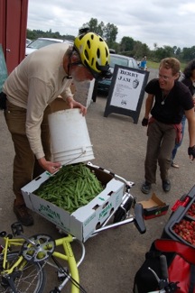 sweet English peas right from the field